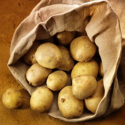 Загадка про картофель