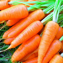 Загадка про морковь