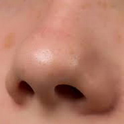 Загадка про нос