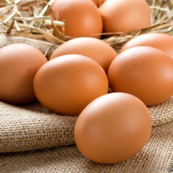 Загадка про яйцо